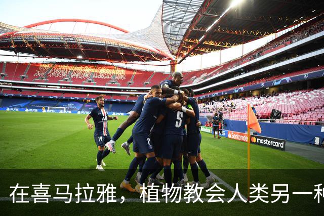 在喜马拉雅，植物教会人类另一种活法